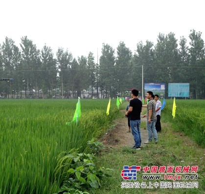 浙江農業植保無人機廠家/山東省獵鷹航空科技