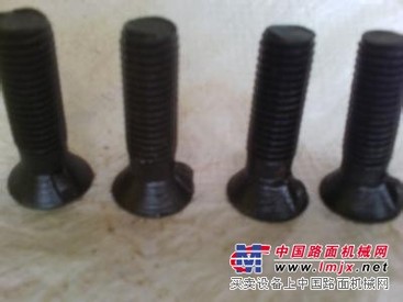 永年沉头带榫螺栓