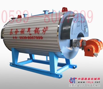 山东燃气供暖锅炉厂家/临沂泰合环保锅炉
