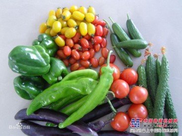 镇江有机蔬菜配送的路线有很多