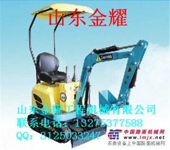 北京会展受到海内外客户欢迎的可行走小型挖掘机