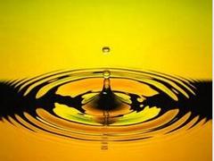 口碑好的武汉齿轮油尽在阳光信诚有限公司：内销武汉齿轮油