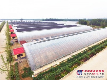 专业建设智能樱桃温室哪家好找金威温室材料有限公司