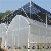 金威温室专业讲解介绍塑料大棚