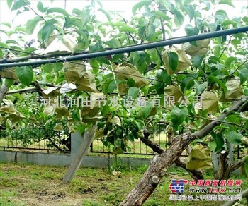 重庆果树滴灌技术|小管出流系统13832362297
