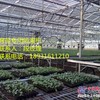 大棚热风机厂家/超达温室