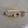 ROTOFLUX可旋转接头S20-301-01R-810 