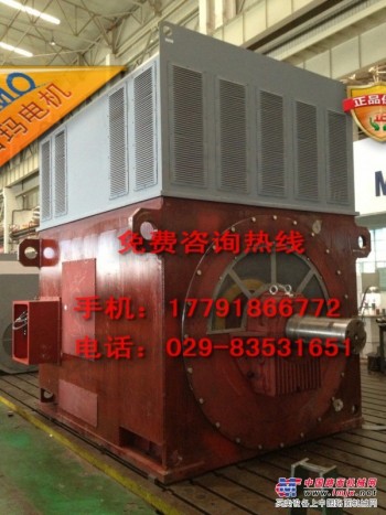 供应西玛YR9006-10 2500KW高压电机 