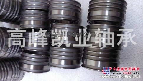 供应BN30-5TVVP5化纤轴承