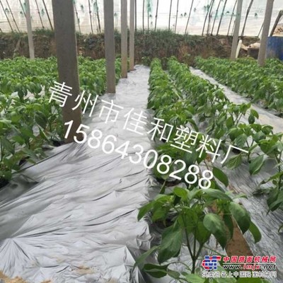 佳和塑料廠專業(yè)供應(yīng)銀黑（灰）雙色反光地膜_辣椒種植銀黑雙色專業(yè)地膜廠家