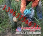 直供全新型树木移植机/铲式挖树机/ 轻便式移苗机