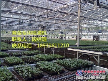 新疆连栋育苗温室/超达温室