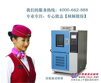 林频仪器高低温试验箱知名厂家