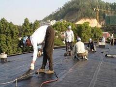 价格划算的楼顶防水补漏——生鑫建筑防水工程供应周到的楼顶防水补漏