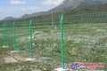 四川成都护栏网/安平县驰标丝网制品有限公司