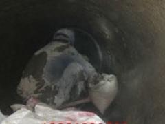 电力机组循环水坑堵漏