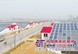 山东光伏大棚建设报价|光伏大棚建设厂家-大棚建设专业合作社