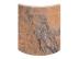 買專業的花崗岩弧形板優選新世紀圓柱_促銷花崗岩弧形板