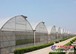 【用用用心服务！】蔬菜温室大棚建造【蔬菜温室大棚配件】蔬菜温室建造