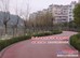 厂家直销彩色沥青,彩色沥青价格合理,服务较好