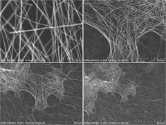 上海价格合理的黑化（碳化）银纳米线【推荐】_专业的黑化（碳化）银纳米线