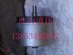 规模较大的RK系列径向柱塞泵提供商|直销RK系列径向柱塞泵