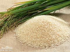 荆门哪里有优惠的大米供应 荆门优质大米哪家买