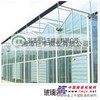 玻璃温室大棚