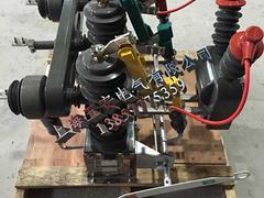 上海专业的高压永磁真空断路器【品牌推荐】|遂宁ZW68C