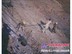 甘肃土钉——兰州土钉工程公司，当属甘肃建研岩土