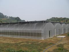 建造电动外遮阳联栋大棚就来睿农温室大棚设备：南宁温室大棚价格