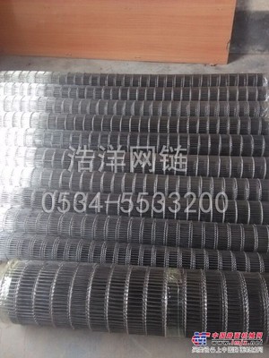 食品网带/宁津浩洋网链输送设备