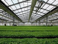 山东优质蔬菜温室大棚建设批发_价位合理的蔬菜温室大棚建设