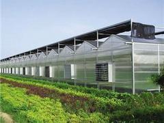 日光温室造价_日光温室建造费用