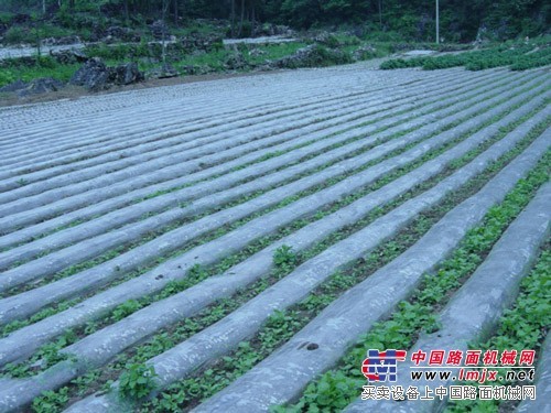 具有口碑的农用地膜品牌介绍    ，专业河北地膜厂家