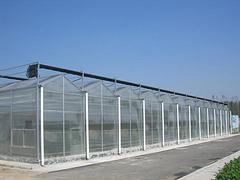 北京農業溫室建設 專業的農業溫室建設哪裏有