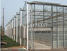 玻璃温室造价——哪里有提供结实耐用的玻璃智能温室