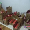 FAG一级代理商-浙江FAG轴承