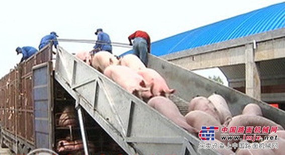 【屠宰厂装卸设备】卸猪台 大型养殖厂装卸设备 坦诺液压机械品质保证值得信赖