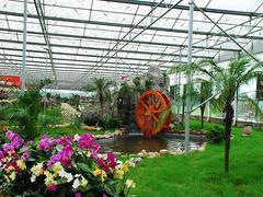 潍坊专业的花卉大棚建造——花卉温室工程