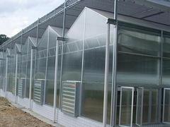 新型智能温室厂家：茄子苗温室大棚建造