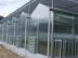 新型智能温室厂家：茄子苗温室大棚建造