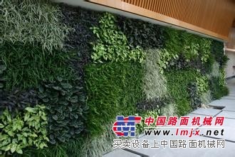 安徽植物墙|安徽植物墙绿化公司|安徽植物墙哪家好【誉盛】