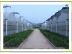 旺鑫温控设备厂提供优质的温室大棚|房山温室大棚建设