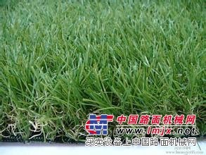 安庆塑料草坪|安庆塑料草坪价格【优良的产品】安庆塑料草坪厂家