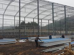 广西钢结构价格如何_广厦钢结构桂林分公司质量好的轻钢[特供]
