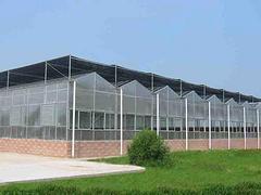 日光温室行情，日光温室建造费用