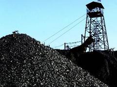 山东原煤代理加盟，有品质的原煤上哪买