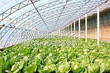 温室大棚建造，哪里有提供创新型的蔬菜大棚温室