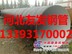 河北友发钢管/16Mn螺旋钢管代理/大量库存